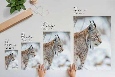 Stampa su tela Rysy in inverno, splendida natura, colori naturali, armonia
