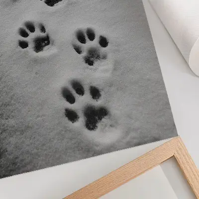 Foto su tela impronte di zampe nella neve bianca con un pizzico di mistero