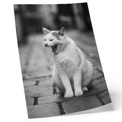 Poster Adorabile gatto su una strada acciottolata con un'estetica in bianco e nero