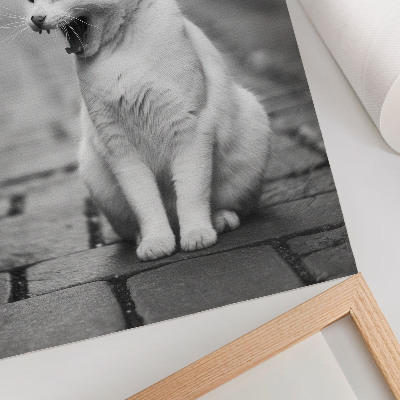 Poster Adorabile gatto su una strada acciottolata con un'estetica in bianco e nero