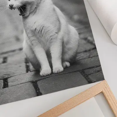 Poster adorabile gatto su una strada acciottolata in bianco e nero