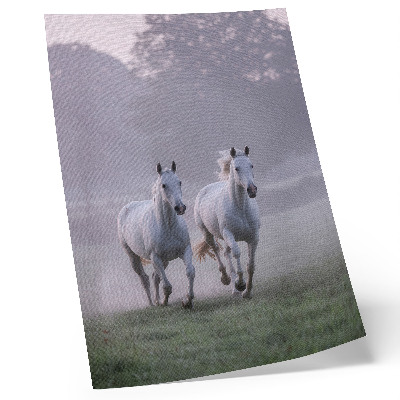 Poster cavalli bianchi nebbia mattutina spazio natura