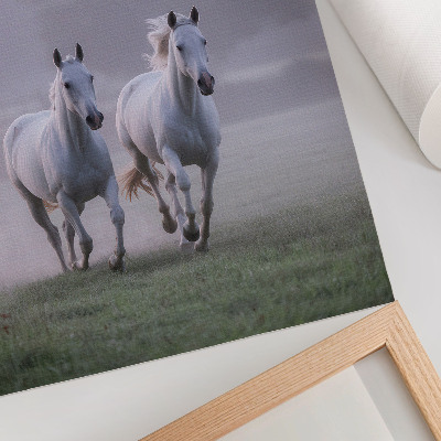 Poster cavalli bianchi nebbia mattutina spazio natura