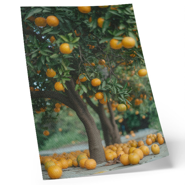 Stampa su tela Arance succose su un albero in un verde frutteto