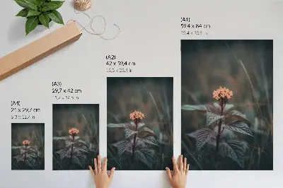 Poster una pianta con fiore colorato su sfondo verde