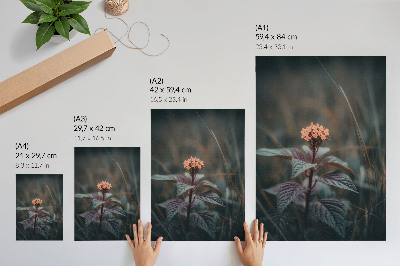 Poster Una pianta con un fiore colorato su uno sfondo verde