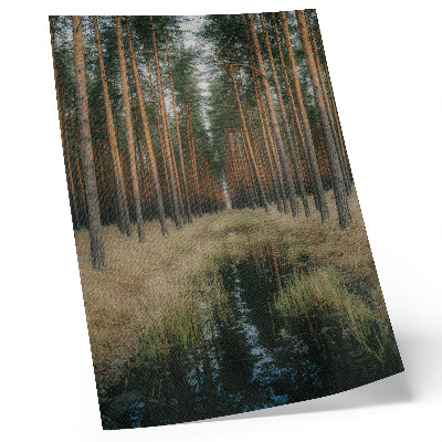 Poster Semplice paesaggio forestale, simmetria di una foresta alta