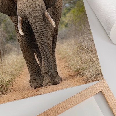 Stampa su tela Elefante su un sentiero in un paesaggio africano