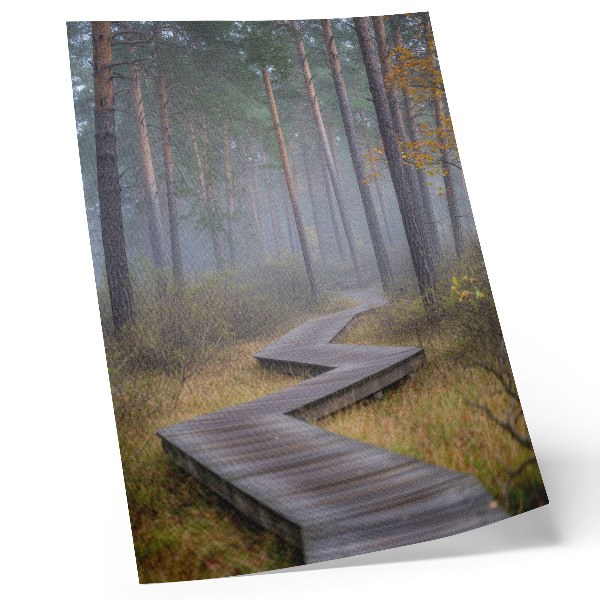 Stampa su tela Un sentiero di legno tra gli alberi nella nebbia