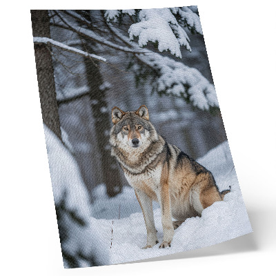 Poster Lupo nella foresta invernale silenzio della natura eleganza