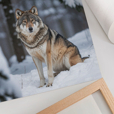 Poster Lupo nella foresta invernale silenzio della natura eleganza
