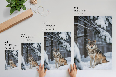 Poster Lupo nella foresta invernale silenzio della natura eleganza