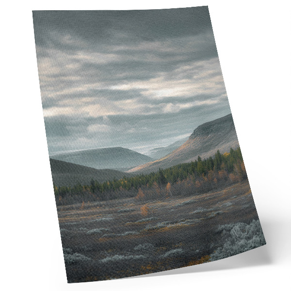Poster Montagne nuvolose, alberi verdi, valle tranquilla