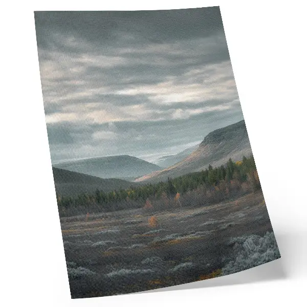 Poster montagne nuvolose con alberi verdi nella valle tranquilla