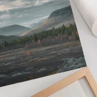 Poster montagne nuvolose con alberi verdi nella valle tranquilla