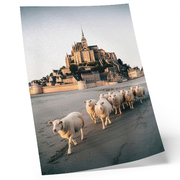 Foto su tela Castello, collina, pecore, sabbia, atmosfera tranquilla