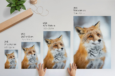 Poster Ritratto di una volpe allegra in un ambiente invernale