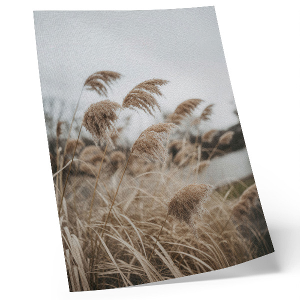 Poster Delicati fili d'erba, atmosfera grigio-marrone della natura