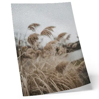 Poster delicati fili d'erba con atmosfera naturale grigio-marrone