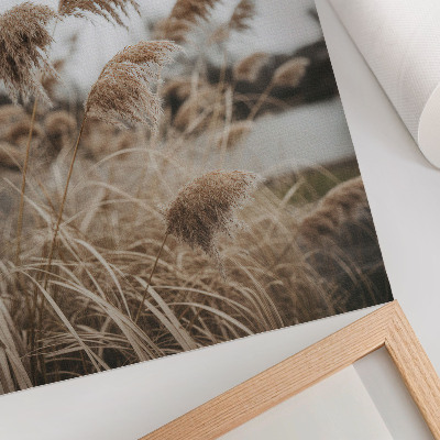 Poster Delicati fili d'erba, atmosfera grigio-marrone della natura
