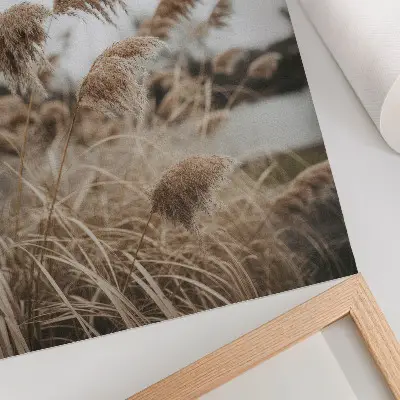 Poster delicati fili d'erba con atmosfera naturale grigio-marrone