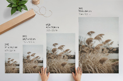 Poster Delicati fili d'erba, atmosfera grigio-marrone della natura