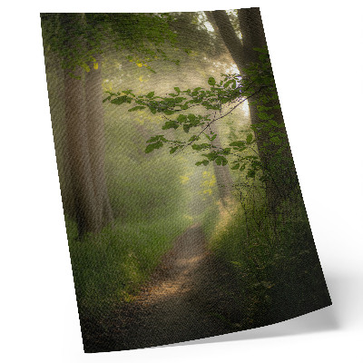 Foto su tela Foglie verdi, raggio di luce, sentiero nel bosco