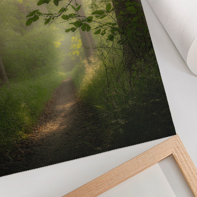 Foto su tela Foglie verdi, raggio di luce, sentiero nel bosco