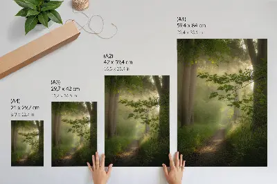 Foto su tela foglie verdi con raggio di luce lungo un sentiero nel bosco