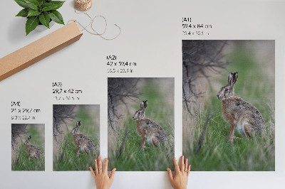 Stampa su tela Una lepre nell'erba, circondata da rami e vegetazione.
