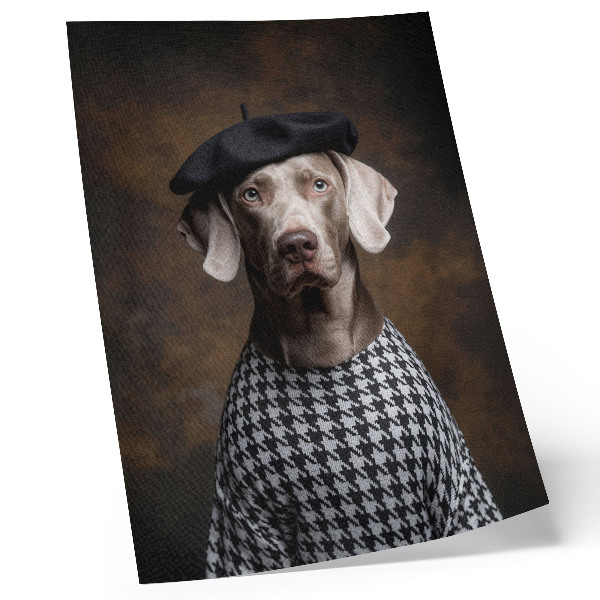 Foto su tela Cane con gilet a fantasia berretto eleganza