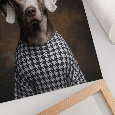 Foto su tela Cane con gilet a fantasia berretto eleganza