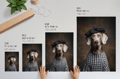 Foto su tela Cane con gilet a fantasia berretto eleganza