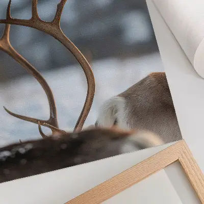 Poster renna con corna in un armonioso paesaggio invernale