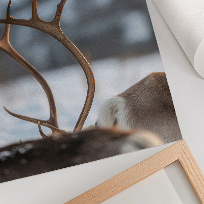 Poster Renna con le corna, armonia del paesaggio invernale