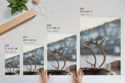 Poster Renna con le corna, armonia del paesaggio invernale