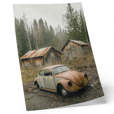 Foto su tela Auto arrugginita, capannone di legno, foresta verde
