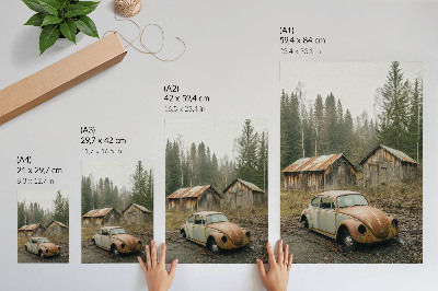Foto su tela Auto arrugginita, capannone di legno, foresta verde