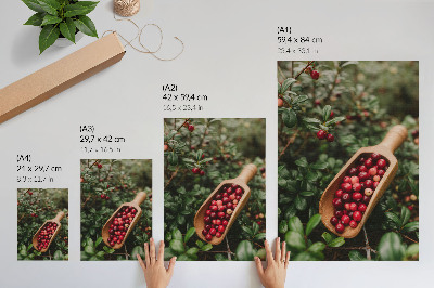 Poster Colori vivaci di foglie e frutti in una pala di legno