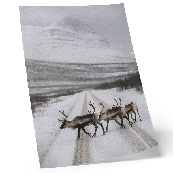 Foto su tela renne su una strada innevata tra le montagne con sfondo invernale