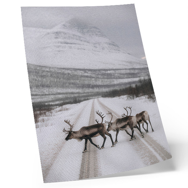 Foto su tela Renne su una strada innevata tra le montagne, sfondo invernale