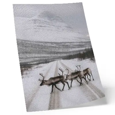 Foto su tela renne su una strada innevata tra le montagne con sfondo invernale