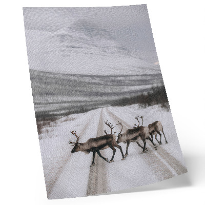 Foto su tela Renne su una strada innevata tra le montagne, sfondo invernale