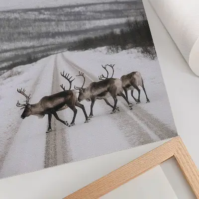 Foto su tela renne su una strada innevata tra le montagne con sfondo invernale