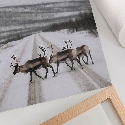 Foto su tela Renne su una strada innevata tra le montagne, sfondo invernale