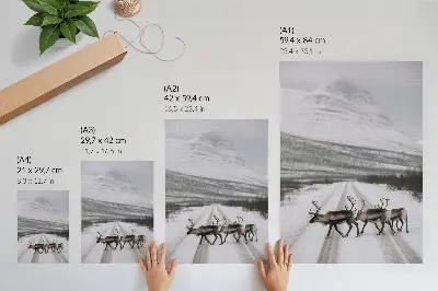 Foto su tela renne su una strada innevata tra le montagne con sfondo invernale
