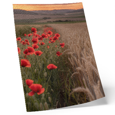 Foto su tela Tramonto con papaveri, armonia di colori della natura