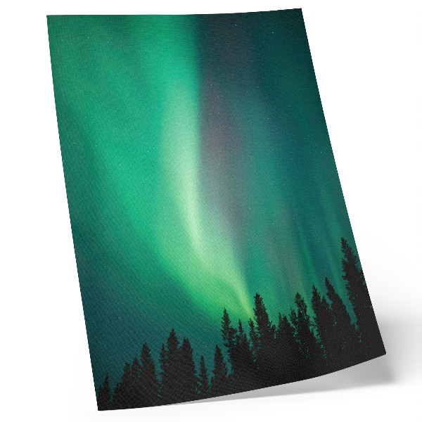 Poster Aurora, alberi verdi, notte, natura magica