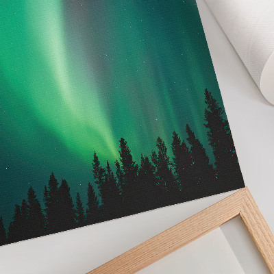 Poster Aurora, alberi verdi, notte, natura magica
