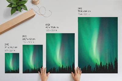 Poster Aurora, alberi verdi, notte, natura magica